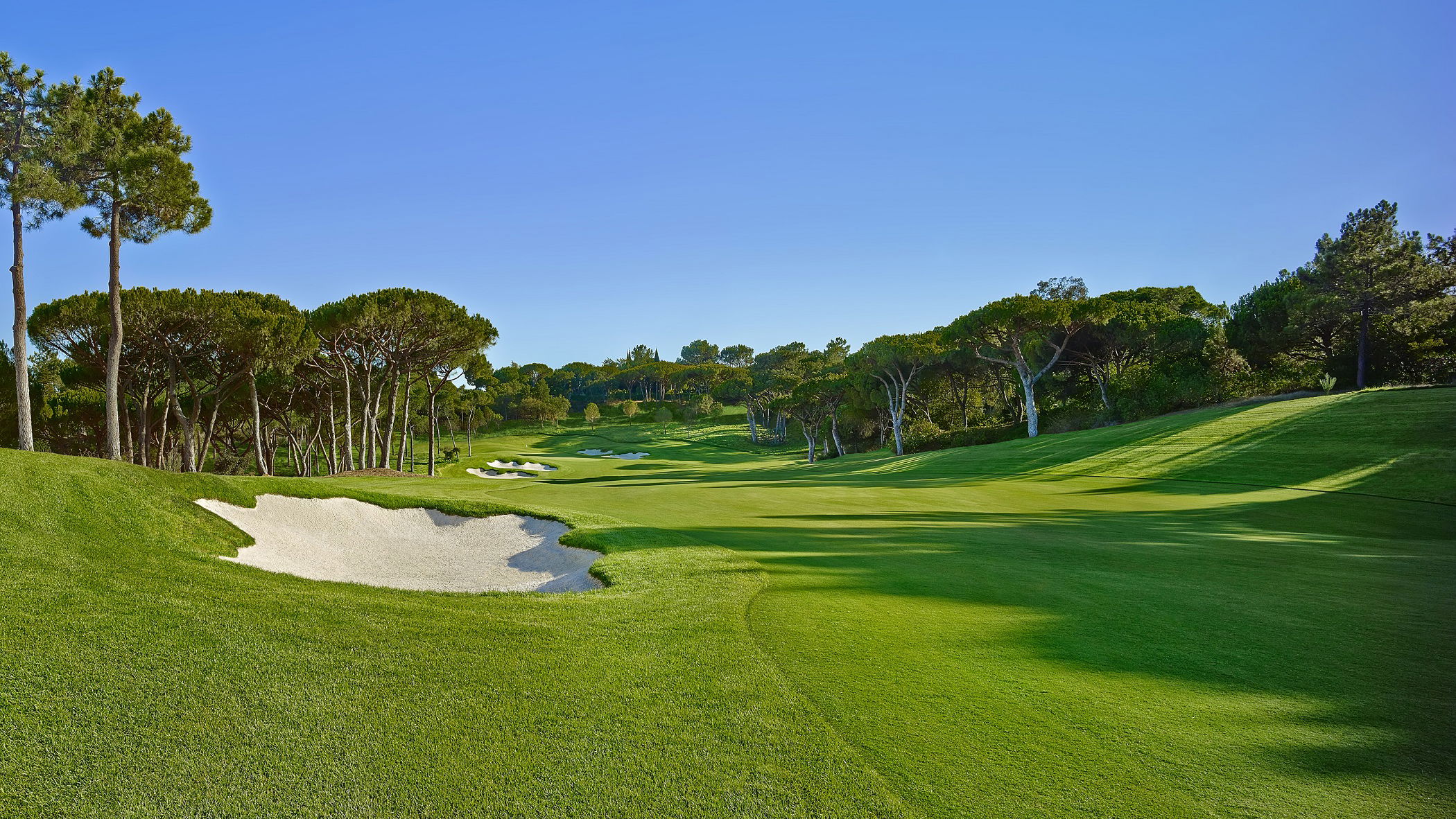 Impressive final line-up for Justin Rose Telegraph Junior Championship